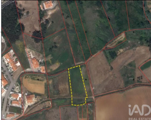Terreno para Venda em Santo Isidoro Foto 19