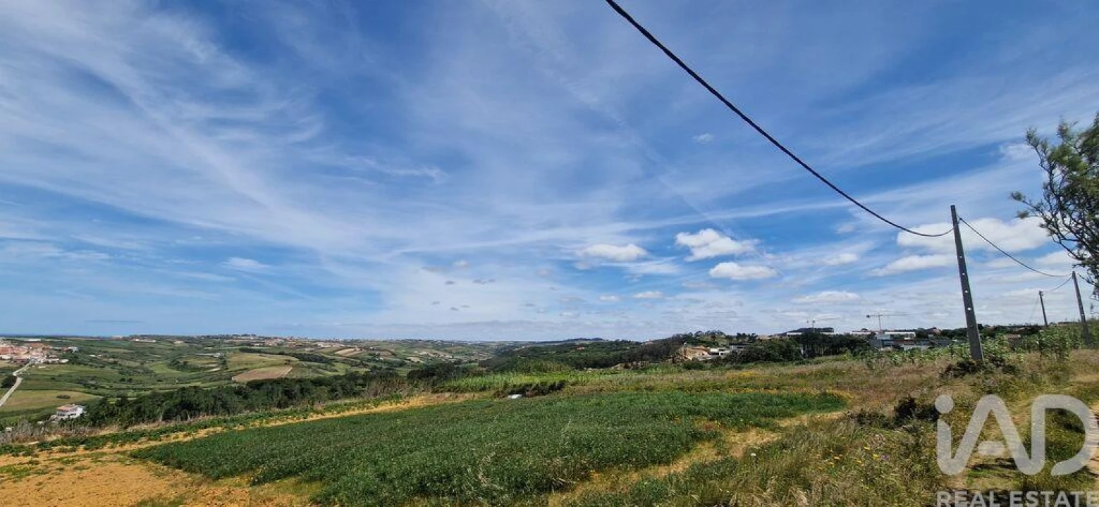 Terreno para Venda em Santo Isidoro Foto 9
