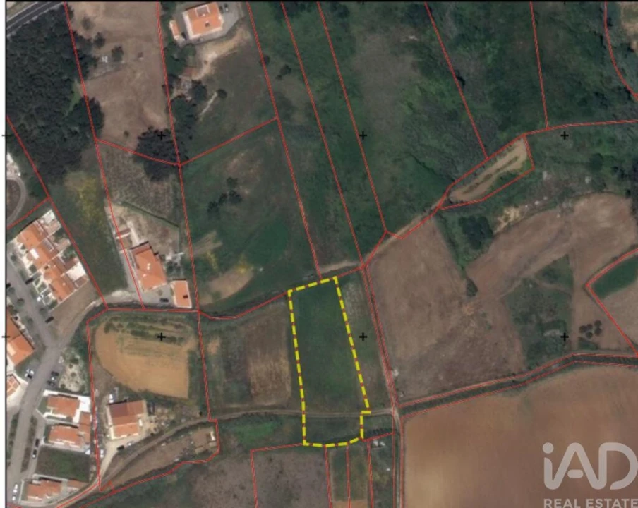 Terreno para Venda em Santo Isidoro Foto 19