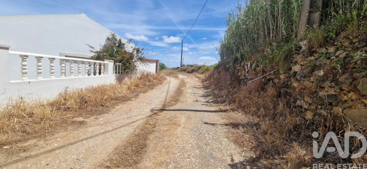 Terreno para Venda em Santo Isidoro Foto 3