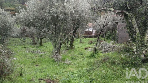 Moradia para Venda em Alvares
