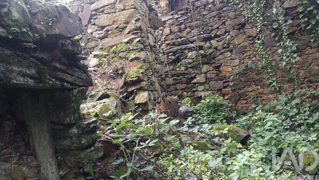 Moradia para Venda em Alvares Foto 6