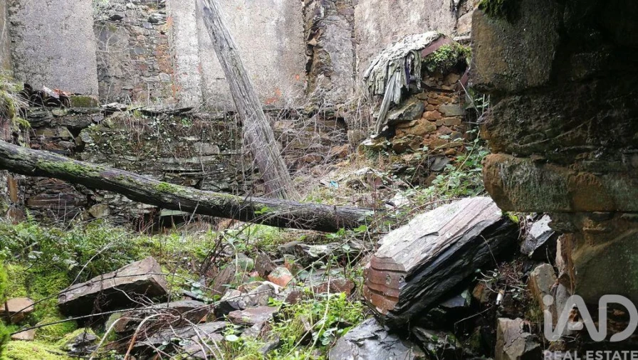 Moradia para Venda em Alvares Foto 5