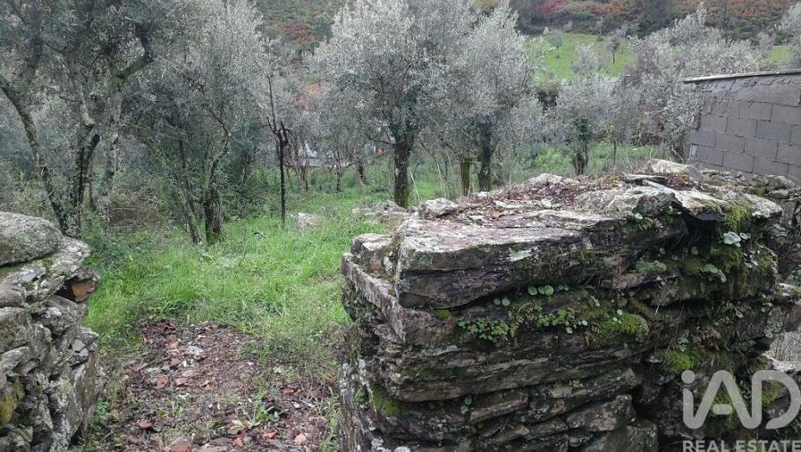 Moradia para Venda em Alvares Foto 10