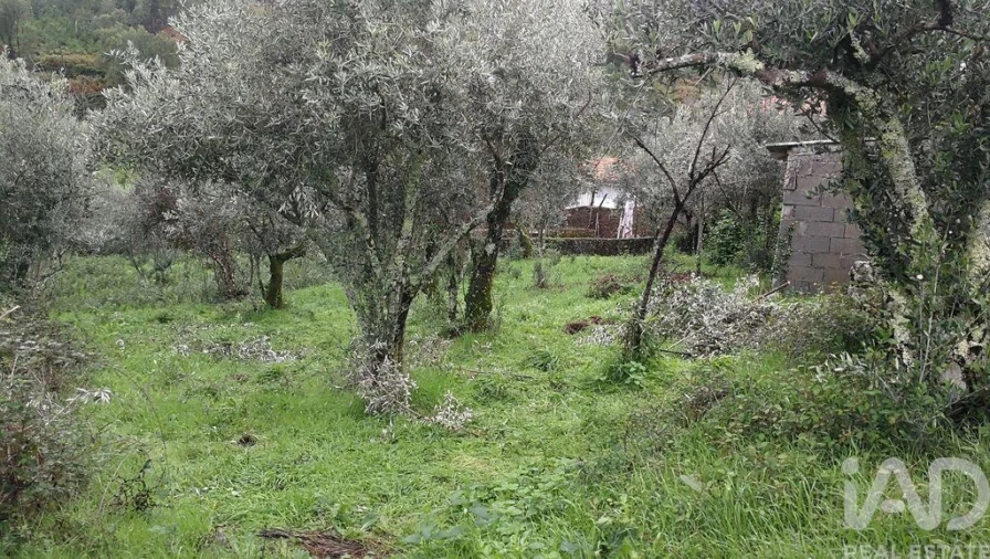 Moradia para Venda em Alvares Foto 14