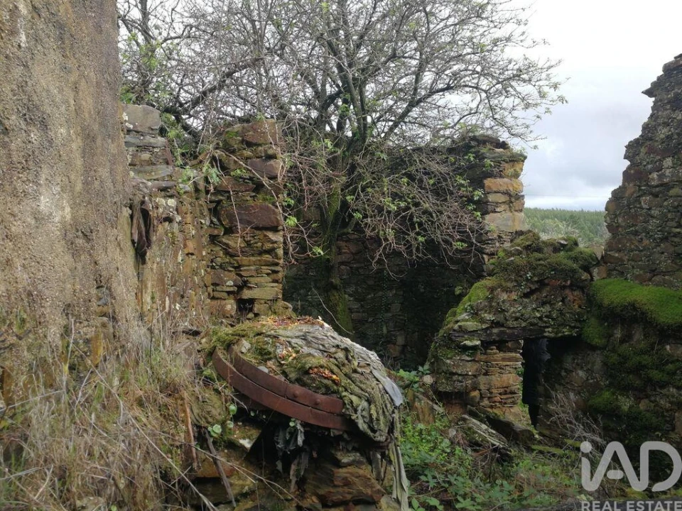 Moradia para Venda em Alvares Foto 2