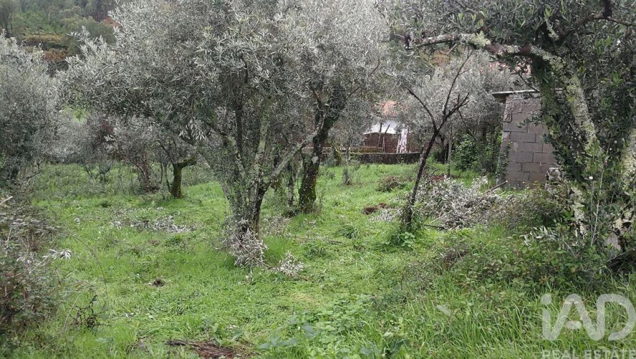 Moradia para Venda em Alvares Foto 14