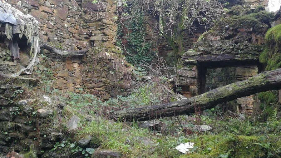 Moradia para Venda em Alvares