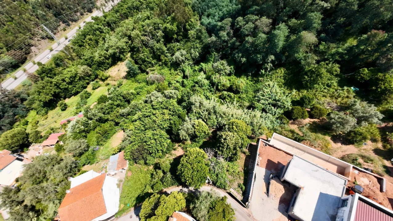 Terreno para Venda em Santo Antonio dos Olivais Foto 3