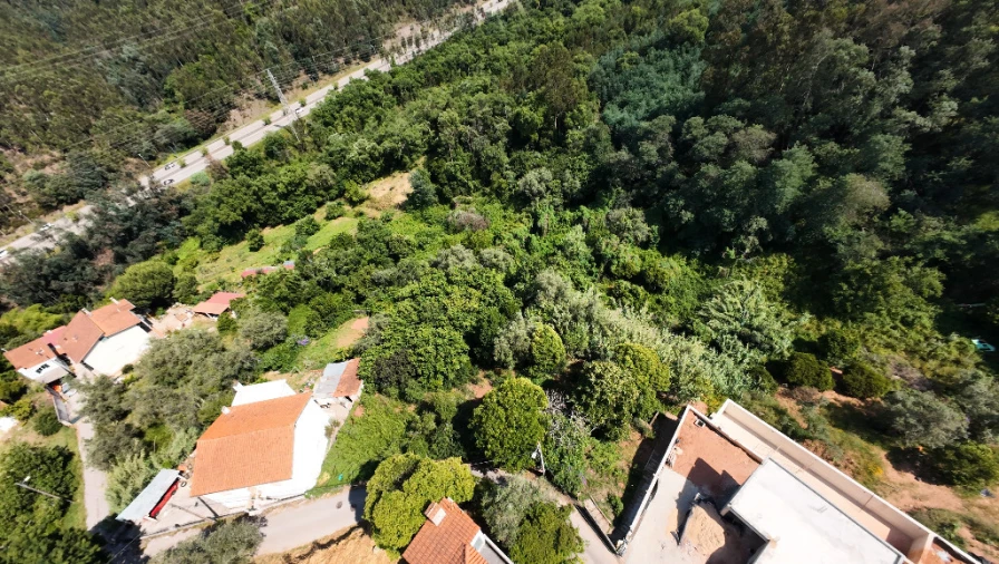 Terreno para Venda em Santo Antonio dos Olivais Foto 2