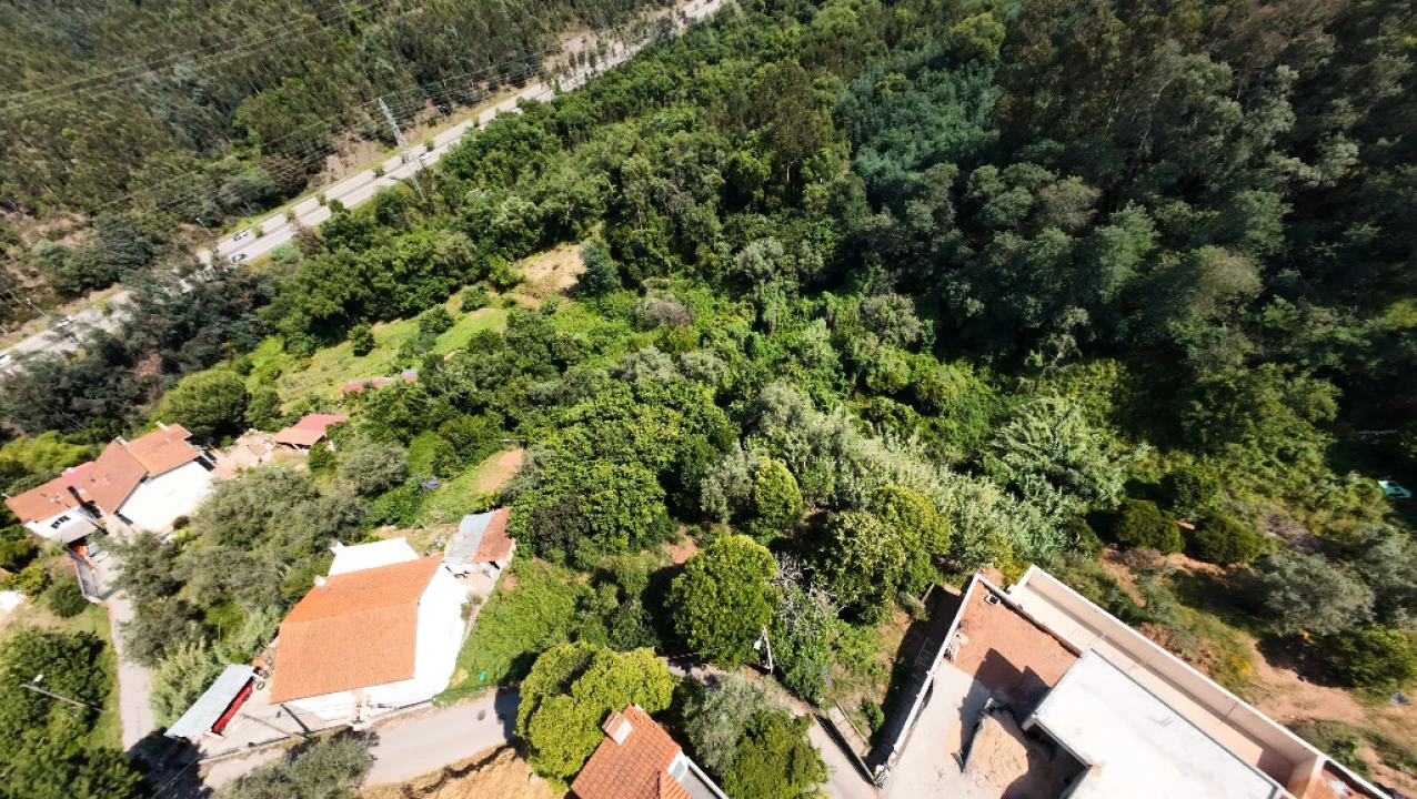Terreno para Venda em Santo Antonio dos Olivais Foto 2