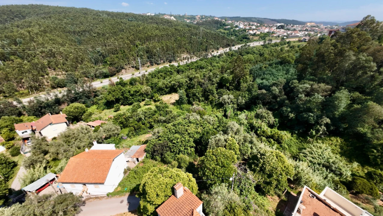 Terreno para Venda em Santo Antonio dos Olivais Foto 5