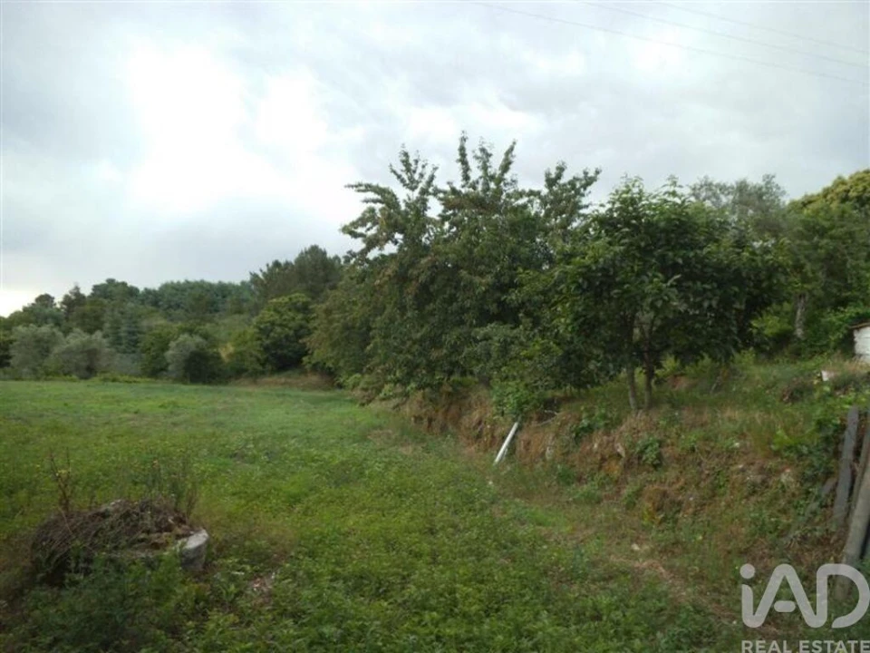 Quinta T6 para Venda em Gouveia (São Pedro e São Julião) Foto 27