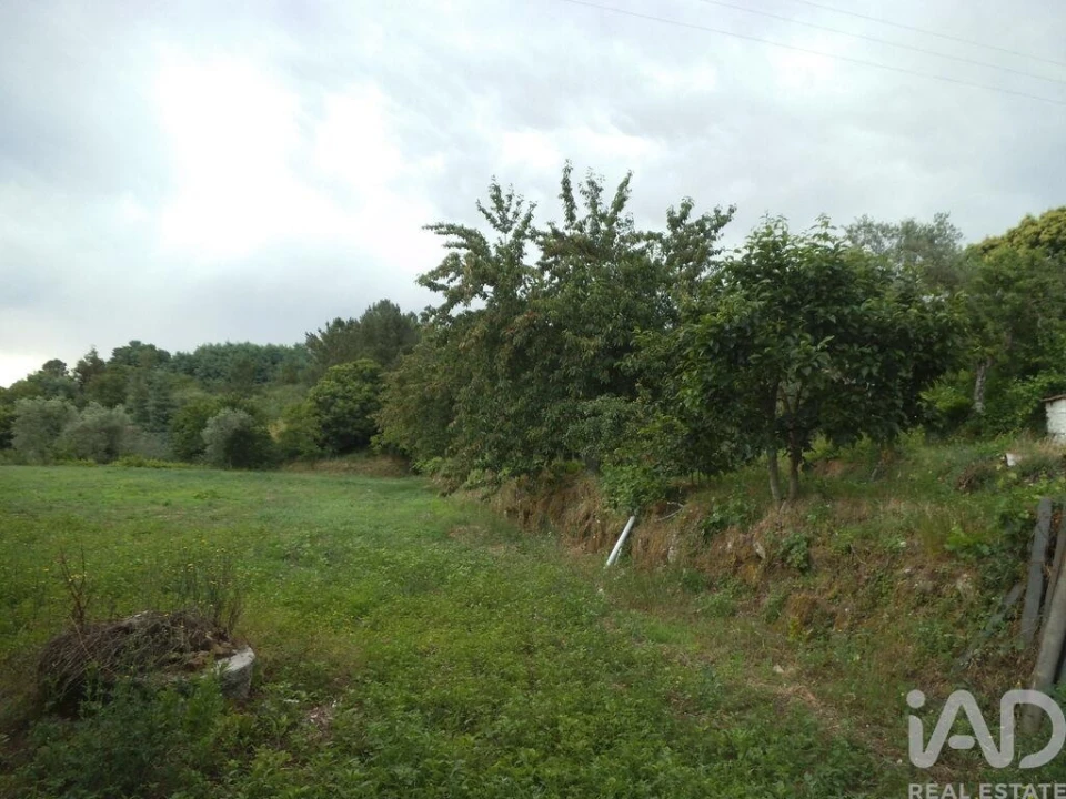 Quinta T6 para Venda em Gouveia (São Pedro e São Julião) Foto 26