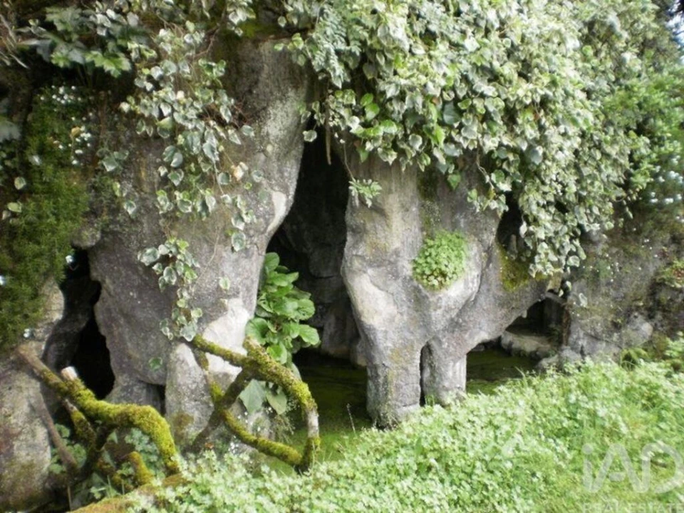 Quinta T6 para Venda em Gouveia (São Pedro e São Julião) Foto 5