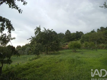 Quinta T6 para Venda em Gouveia (São Pedro e São Julião)