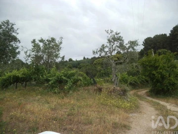 Quinta T6 para Venda em Gouveia (São Pedro e São Julião)