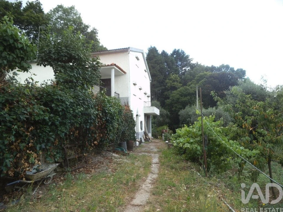Quinta T6 para Venda em Gouveia (São Pedro e São Julião) Foto 4