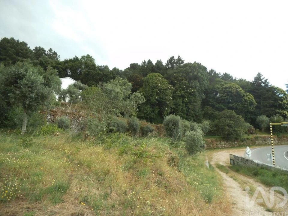 Quinta T6 para Venda em Gouveia (São Pedro e São Julião) Foto 15