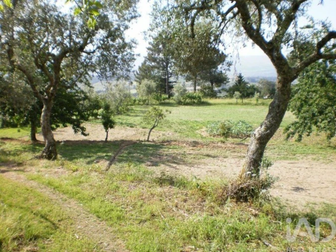 Quinta T6 para Venda em Gouveia (São Pedro e São Julião) Foto 8