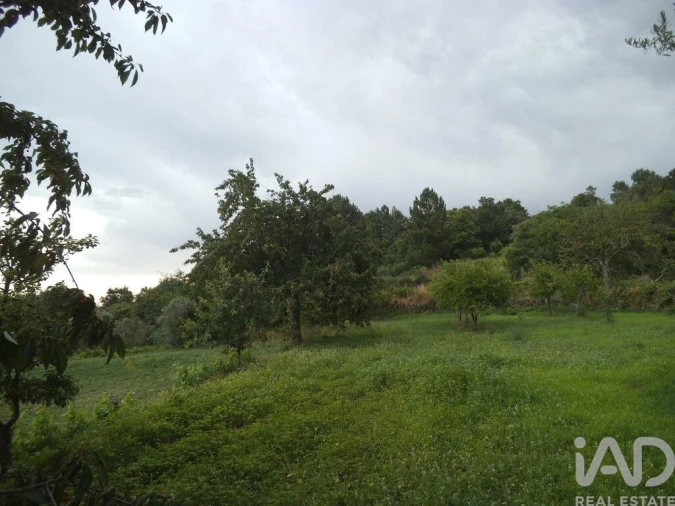 Quinta T6 para Venda em Gouveia (São Pedro e São Julião) Foto 13