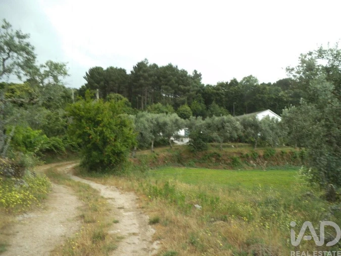 Quinta T6 para Venda em Gouveia (São Pedro e São Julião) Foto 25
