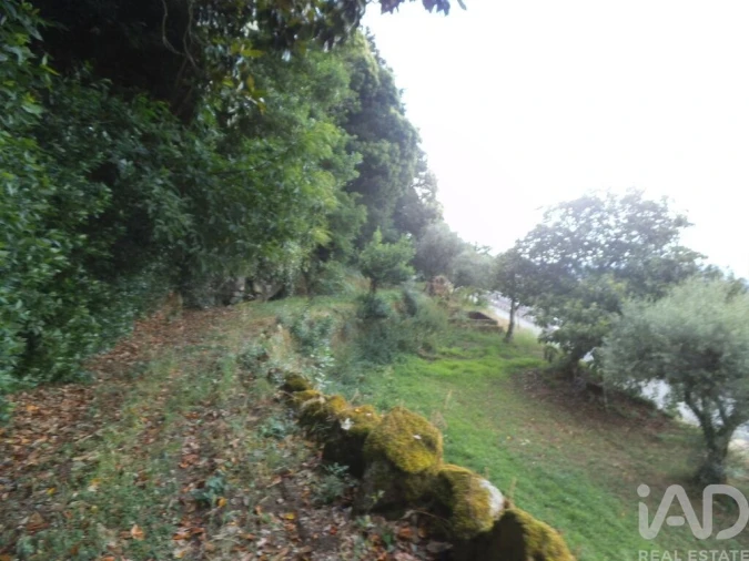 Quinta T6 para Venda em Gouveia (São Pedro e São Julião) Foto 12