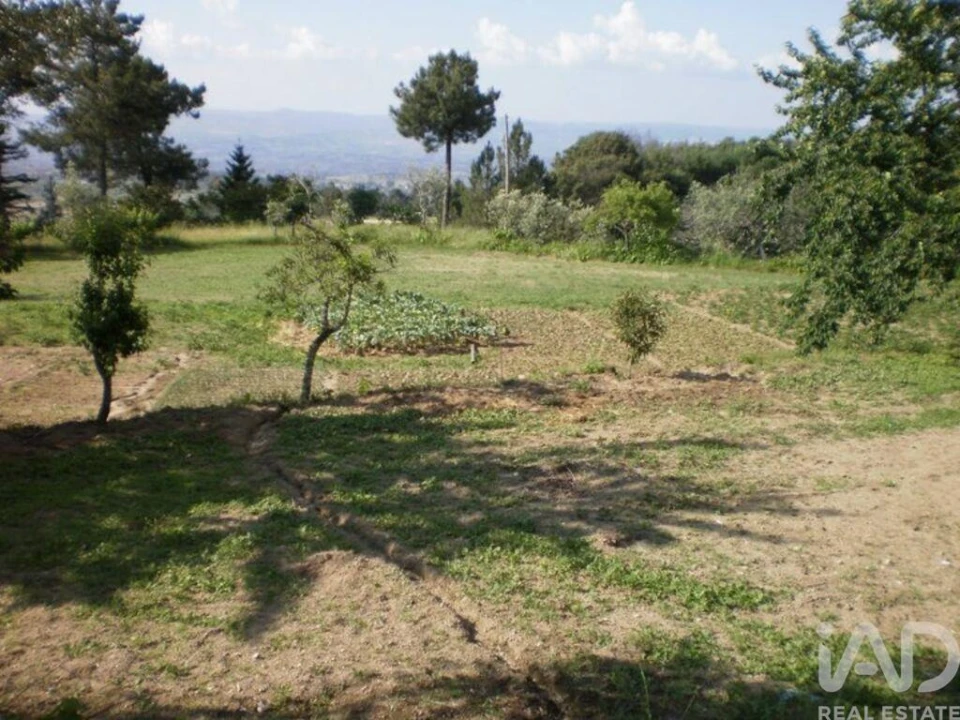 Quinta T6 para Venda em Gouveia (São Pedro e São Julião) Foto 19