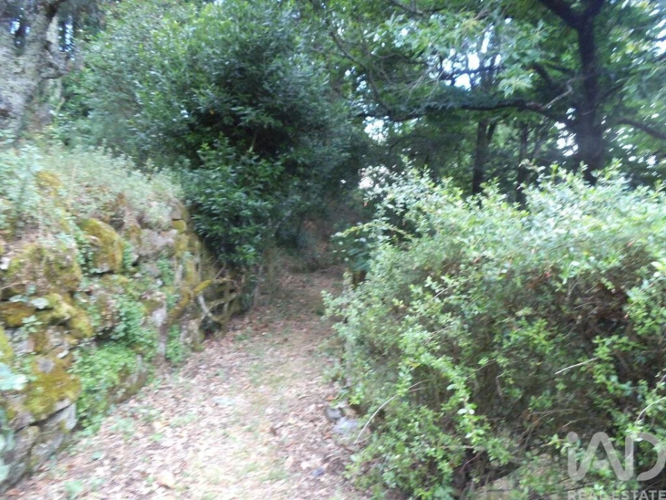 Quinta T6 para Venda em Gouveia (São Pedro e São Julião) Foto 11