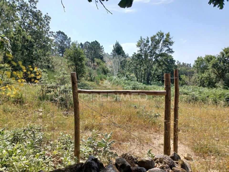 Terreno para Venda em Ribeira de Nisa e Carreiras Foto 4