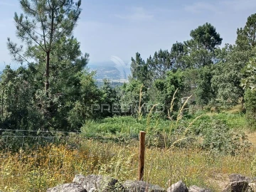 Terreno para Venda em Ribeira de Nisa e Carreiras