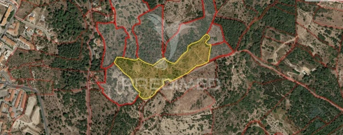 Terreno para Venda em Ribeira de Nisa e Carreiras
