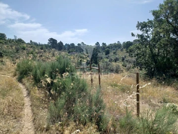 Terreno para Venda em Ribeira de Nisa e Carreiras