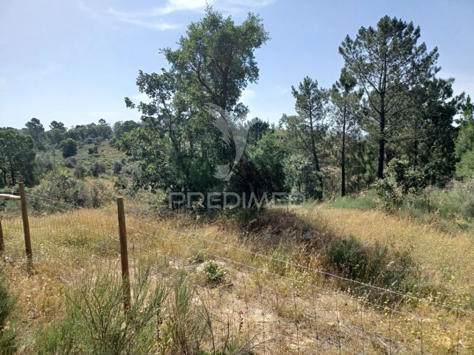 Terreno para Venda em Ribeira de Nisa e Carreiras Foto 6