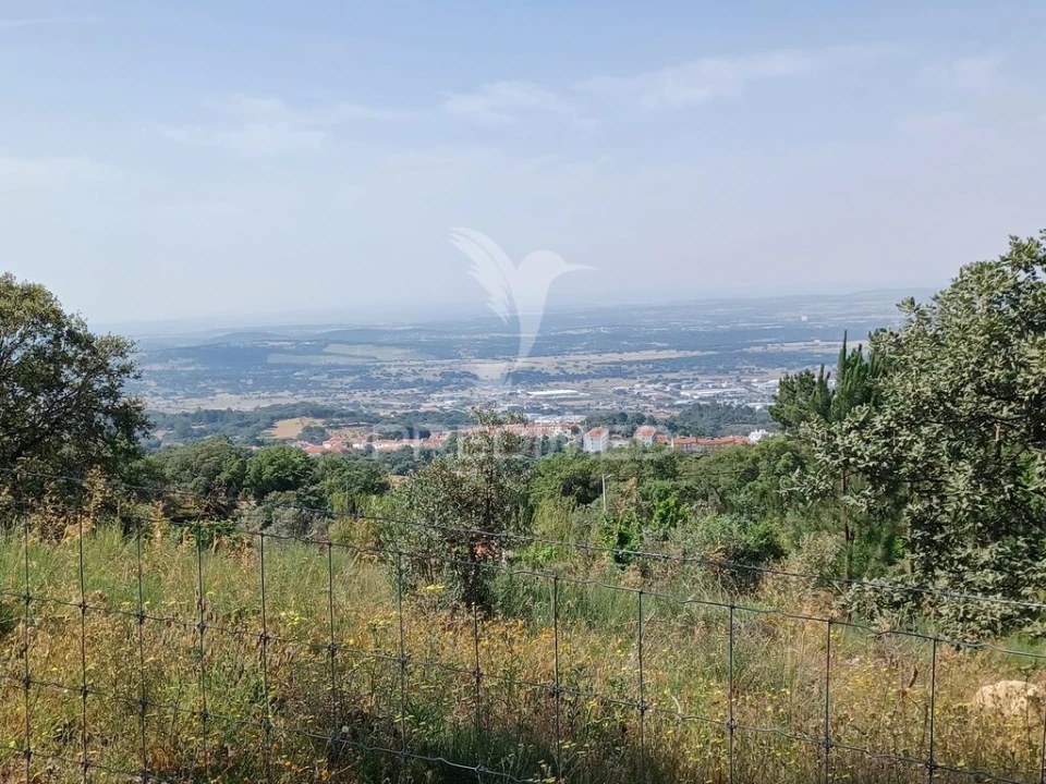 Terreno para Venda em Ribeira de Nisa e Carreiras Foto 1
