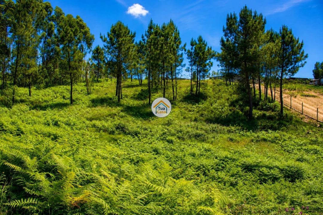 Terreno para Venda em Sandim, Olival, Lever e Crestuma Foto 4