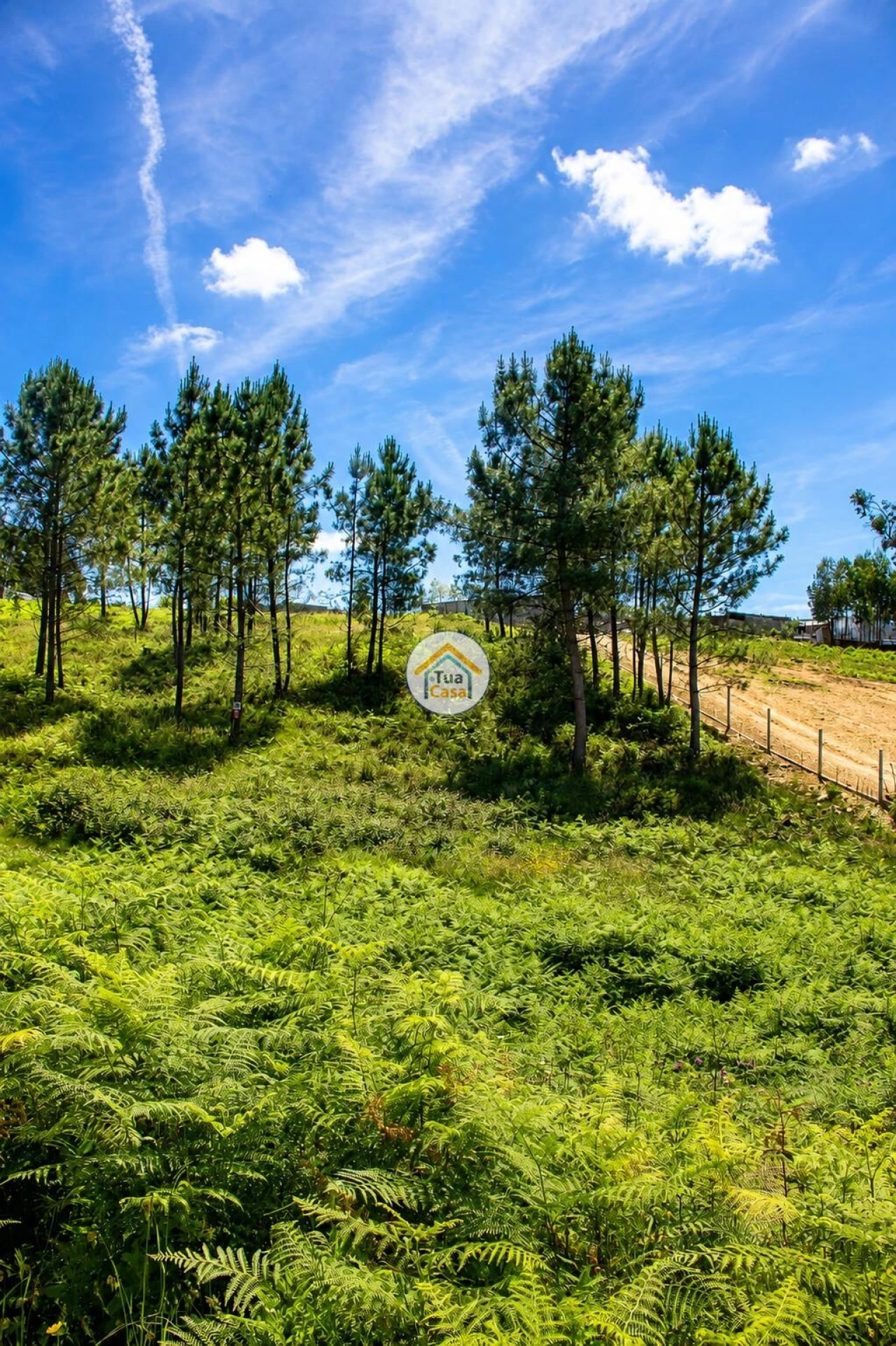 Terreno para Venda em Sandim, Olival, Lever e Crestuma Foto 6