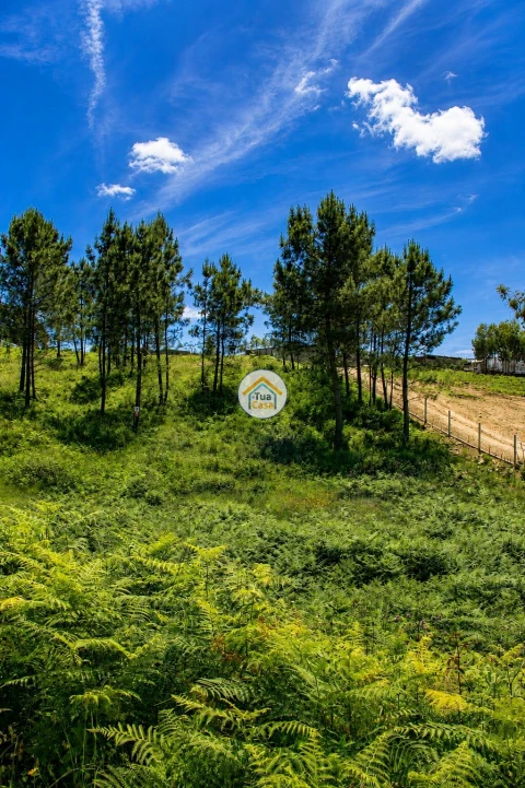 Terreno para Venda em Sandim, Olival, Lever e Crestuma