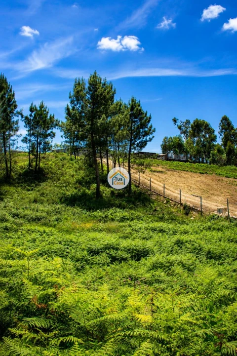 Terreno para Venda em Sandim, Olival, Lever e Crestuma