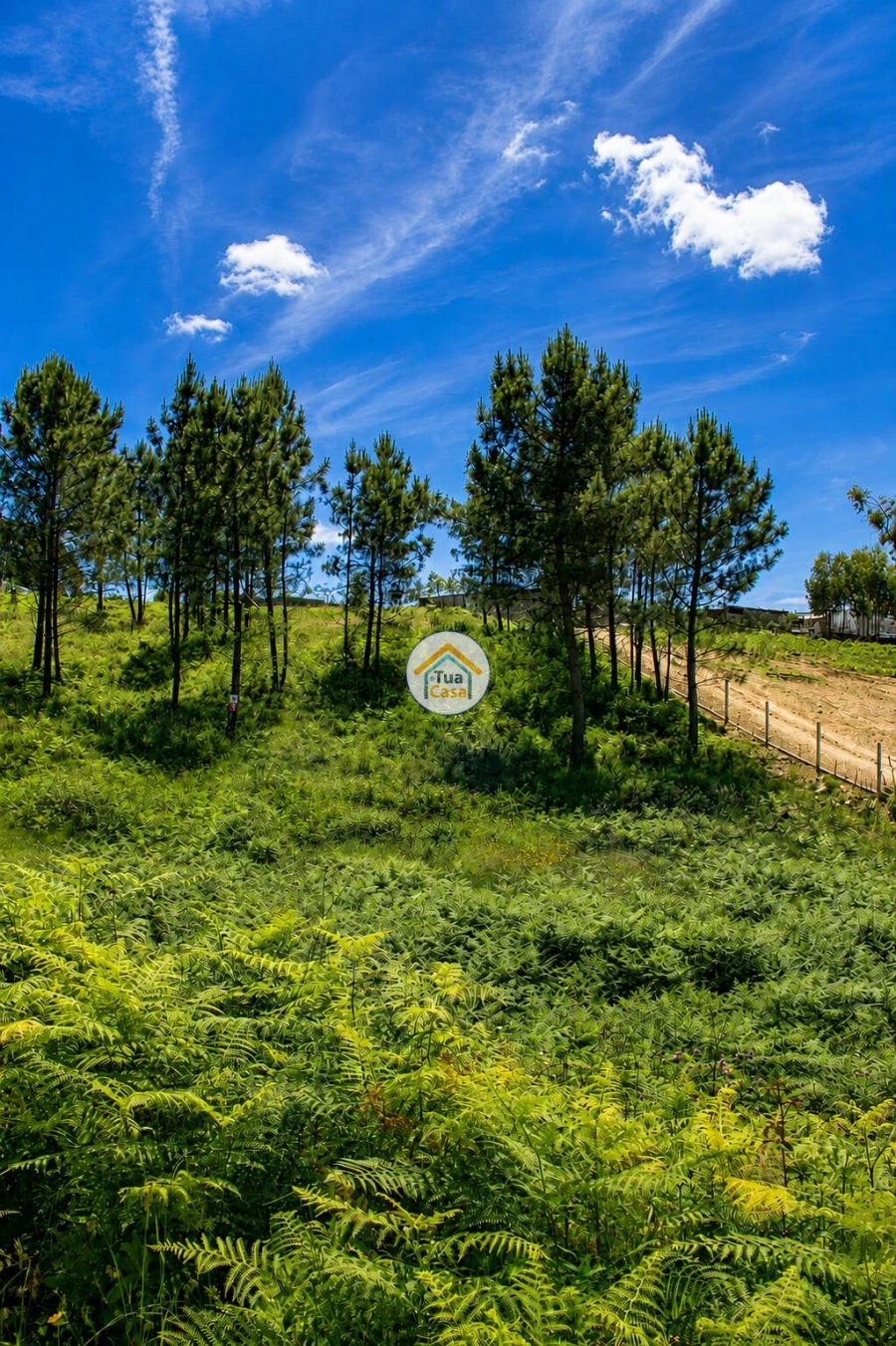 Terreno para Venda em Sandim, Olival, Lever e Crestuma Foto 7