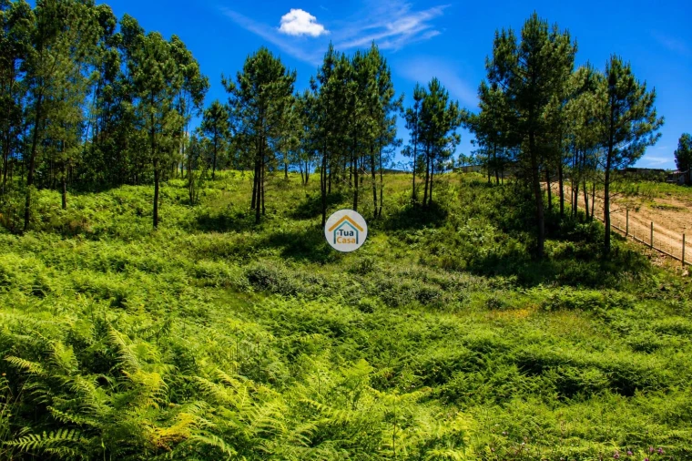 Terreno para Venda em Sandim, Olival, Lever e Crestuma Foto 3