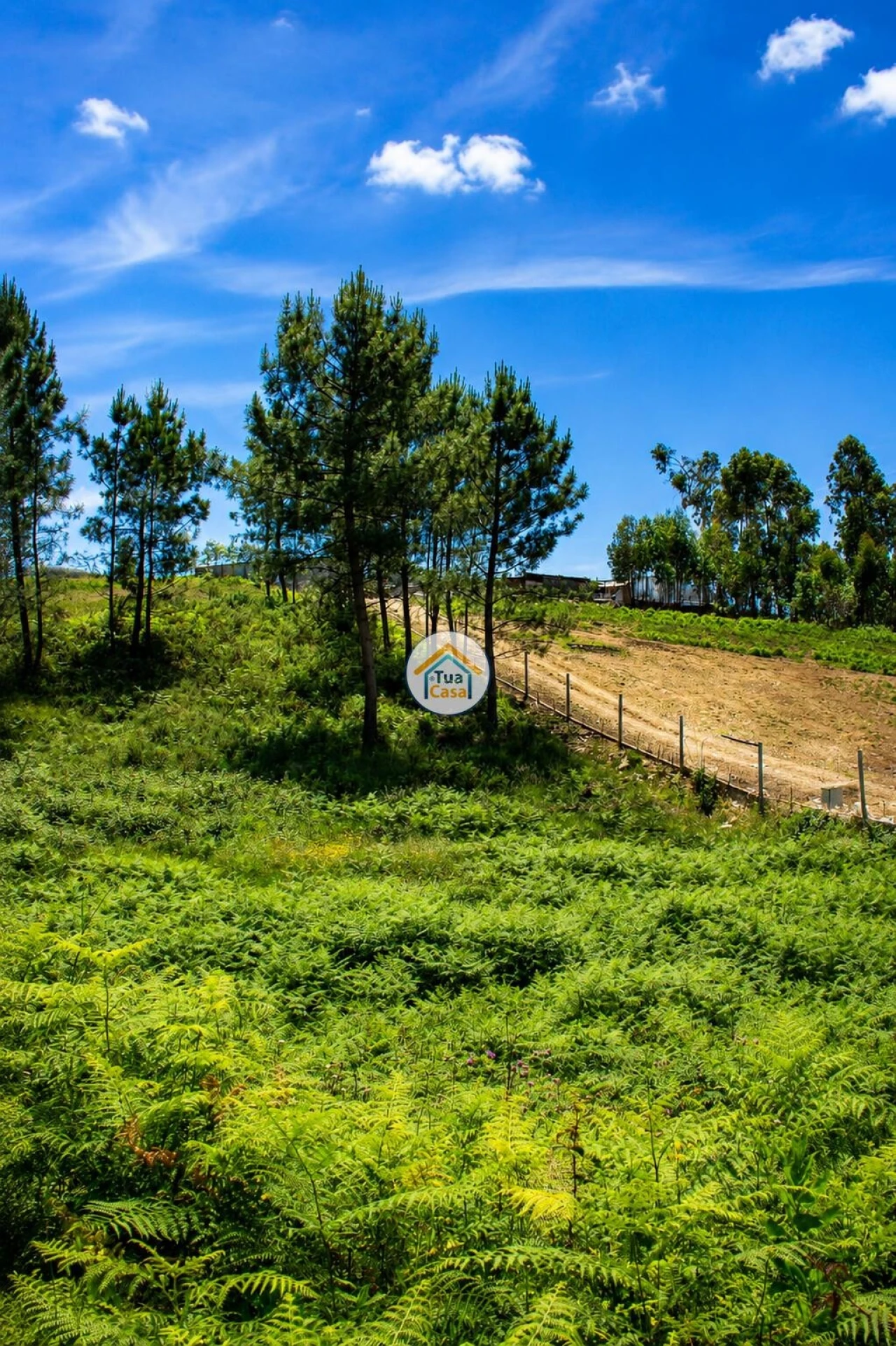 Terreno para Venda em Sandim, Olival, Lever e Crestuma Foto 5