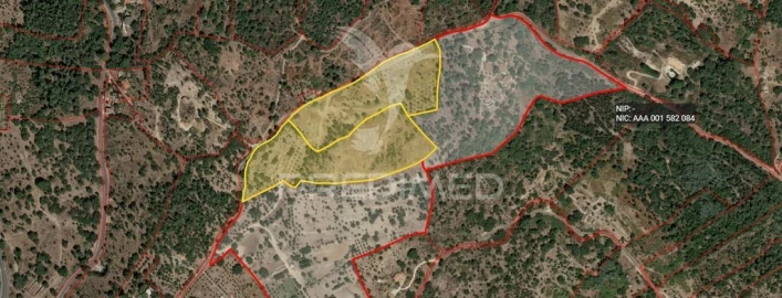 Terreno para Venda em Ribeira de Nisa e Carreiras