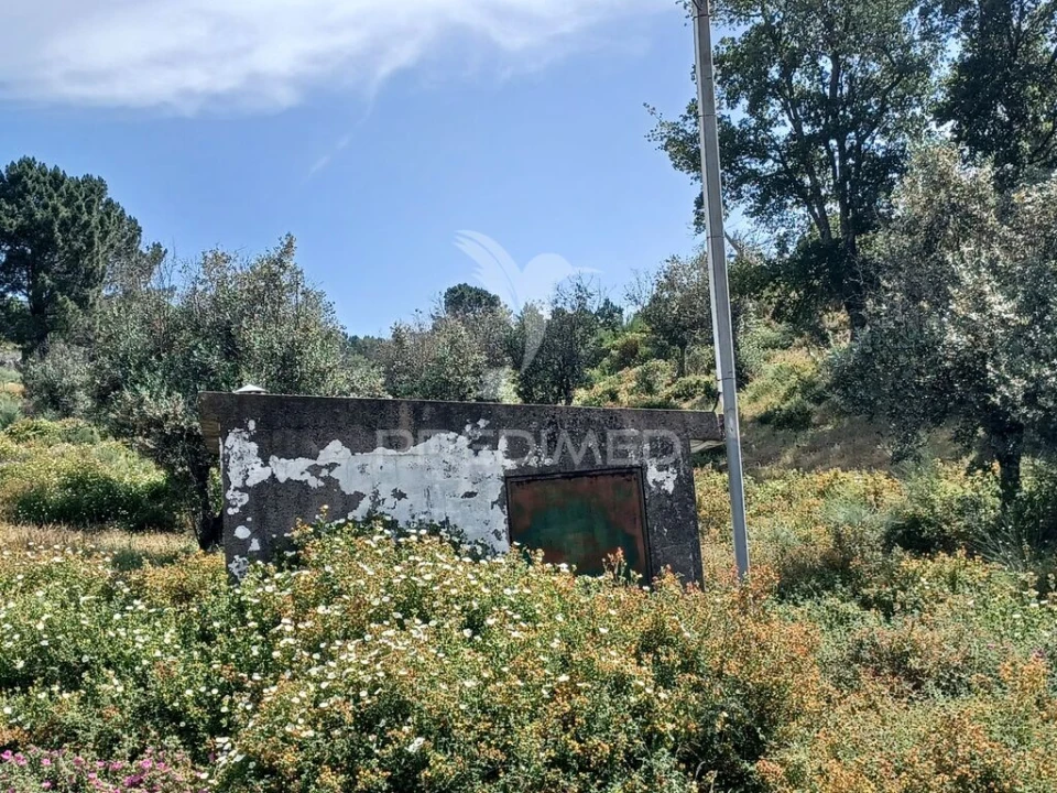 Terreno para Venda em Ribeira de Nisa e Carreiras Foto 3