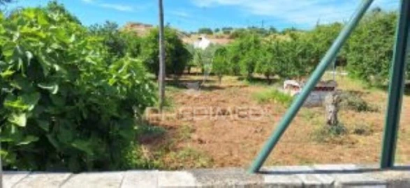 Quinta T1 para Venda em Pardais