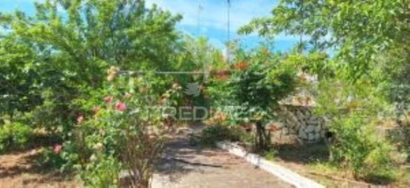 Quinta T1 para Venda em Pardais