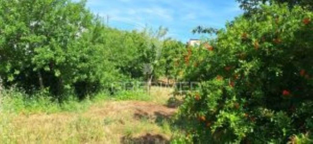 Quinta T1 para Venda em Pardais Foto 3