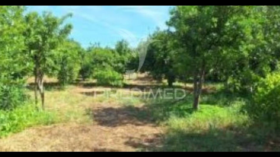 Quinta T1 para Venda em Pardais