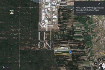 Terreno para Venda em Vagos e Santo António