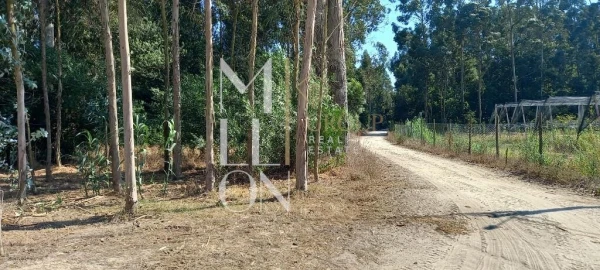 Terreno para Venda em Vagos e Santo António